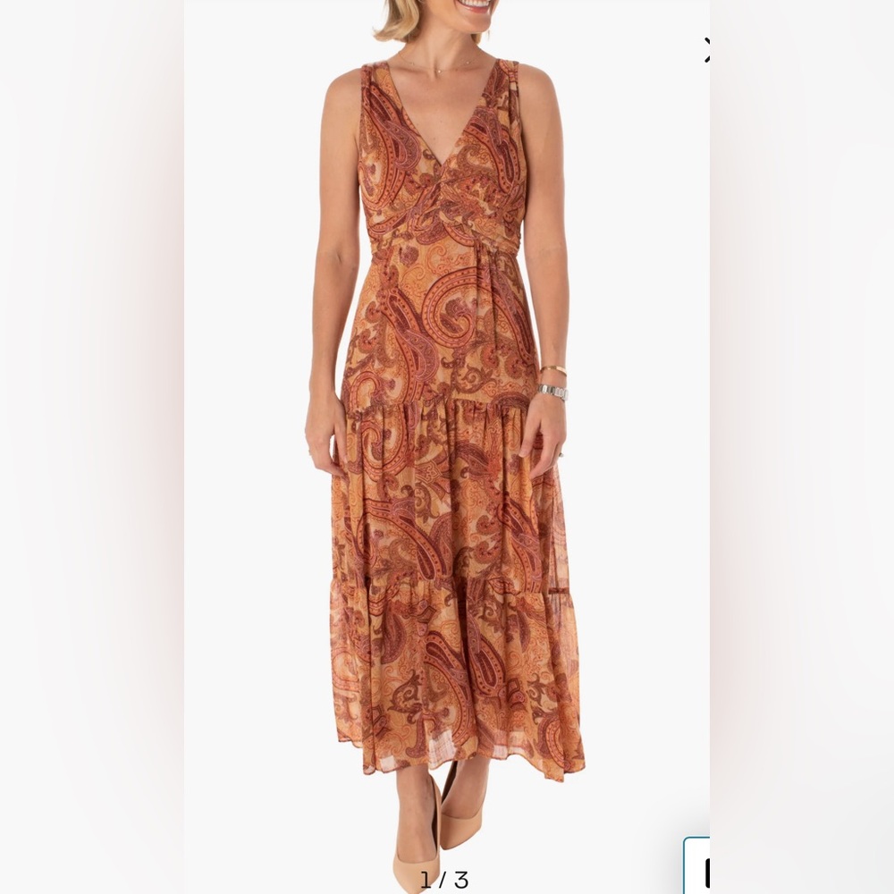 NWT Taylor Dresses Paisley Empire Waist Tiered Boho Flowy Maxi Dress
